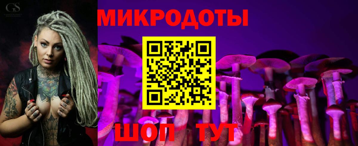 Галлюциногенные грибы мухоморы Трёхгорный